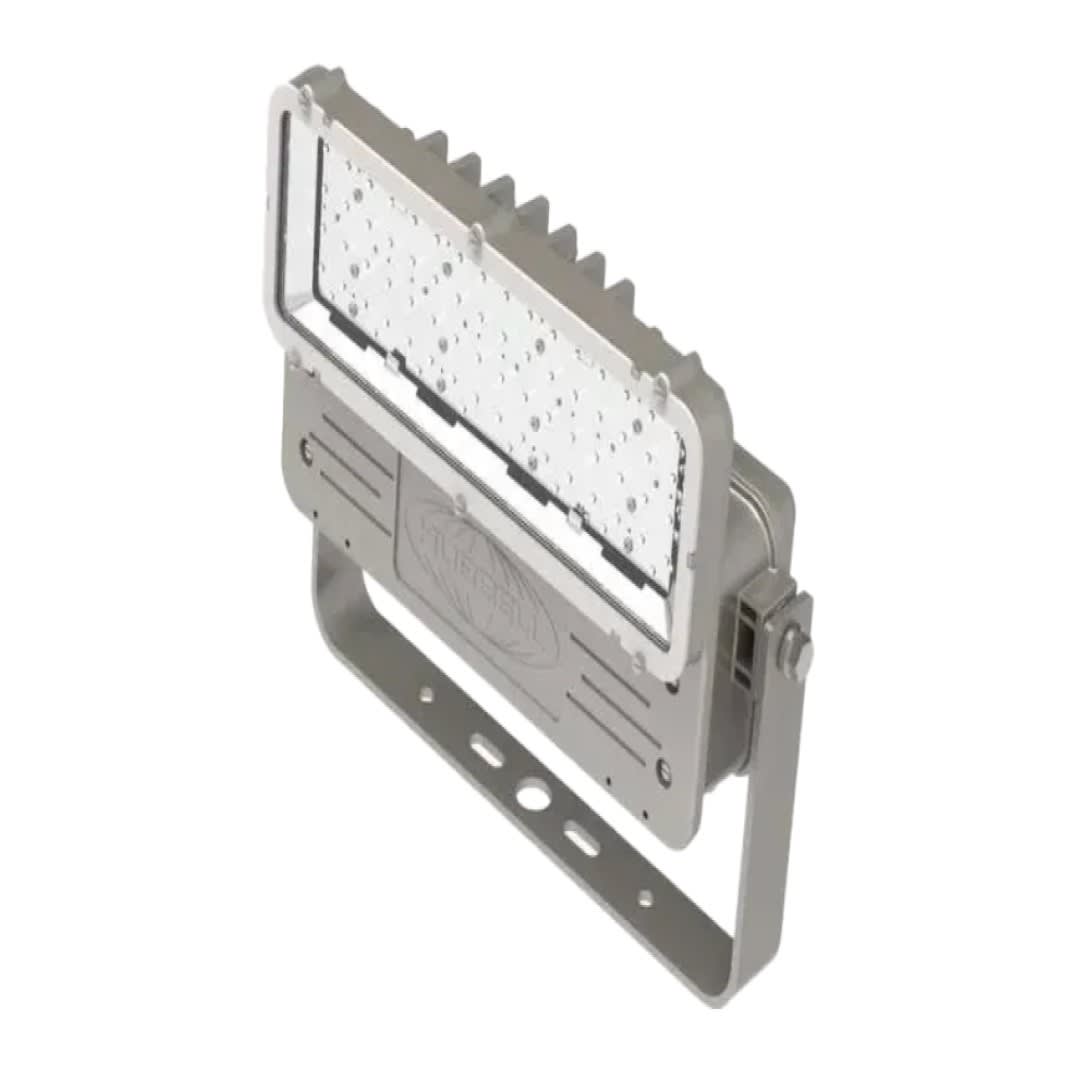 REFLECTOR LED 60W 7948LM 5000K 120-277V NEMA 4X/IP66 ZONA 2/21 CLI DIV2 CSA/EX/IECEX KILLARK1