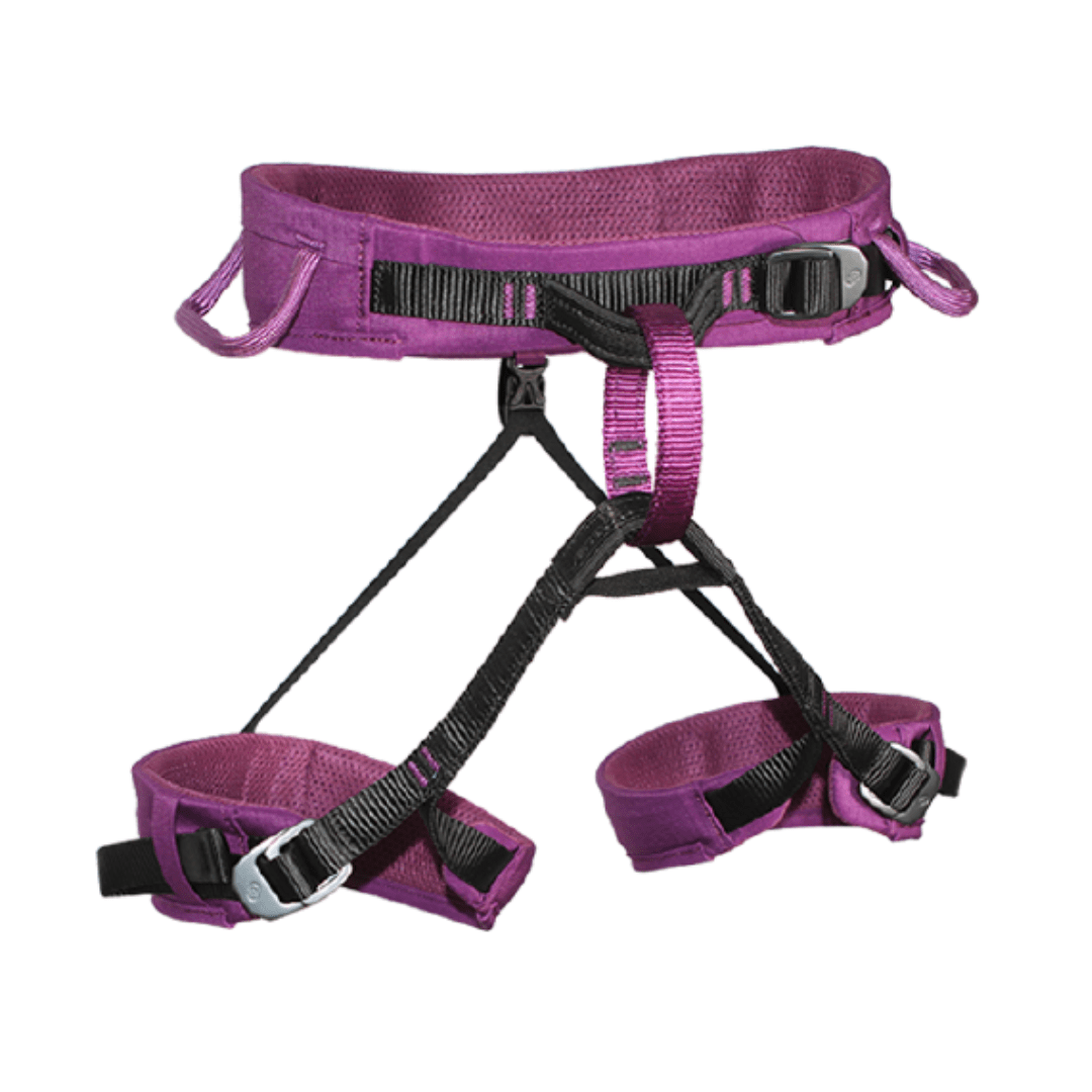 ARNES PELVICO TALLA M MORADO ESCALADA Y RAPEL CE EN 12277 VIRGO 4123231 ARMBURY1