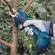 TIJERA DE PODAR INALAMBRICA PRO PRUNER 12V EN AZUL BOSCH15