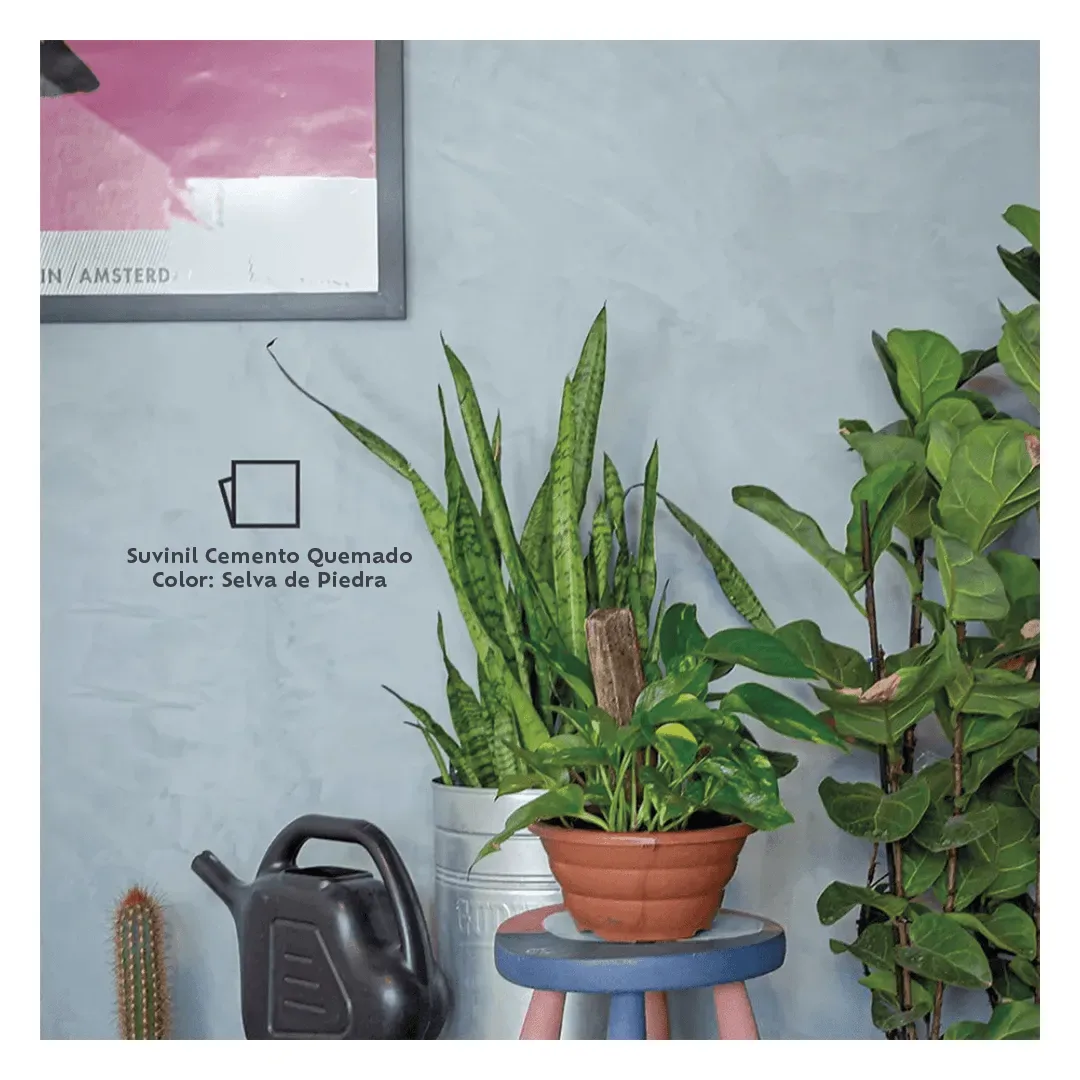 PINTURA EFECTO CEMENTO QUEMADO SELVA DE PIEDRA 5KG SUVINIL2
