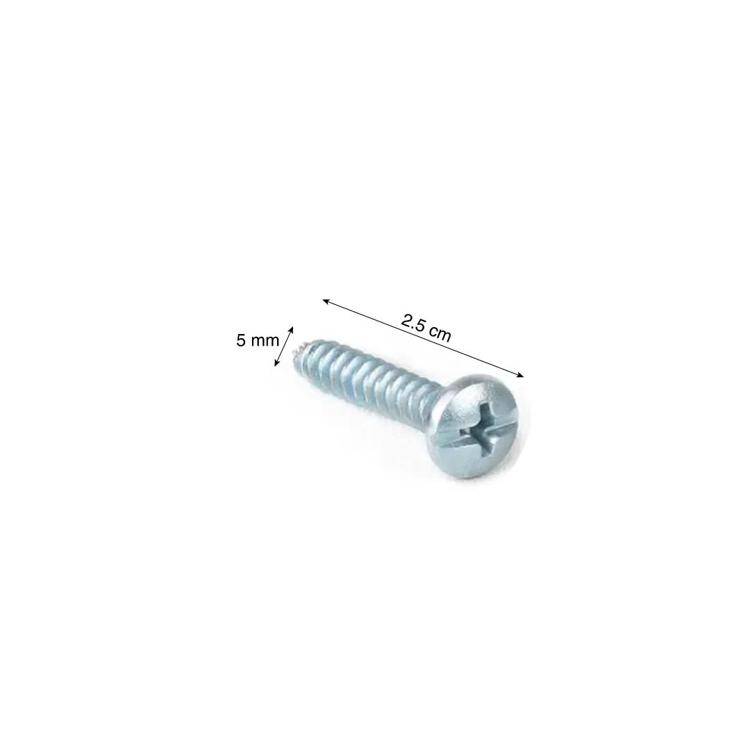 TORNILLO CABEZA PHILLIPS 10X1'' X 10 UNIDADES SM1
