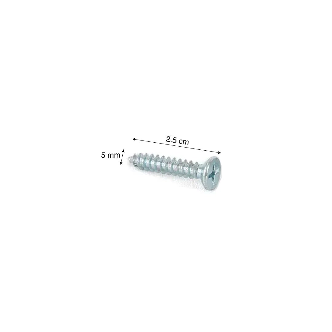 TORNILLO CABEZA PLANA 10X1'' X 10 UNIDADES SM1