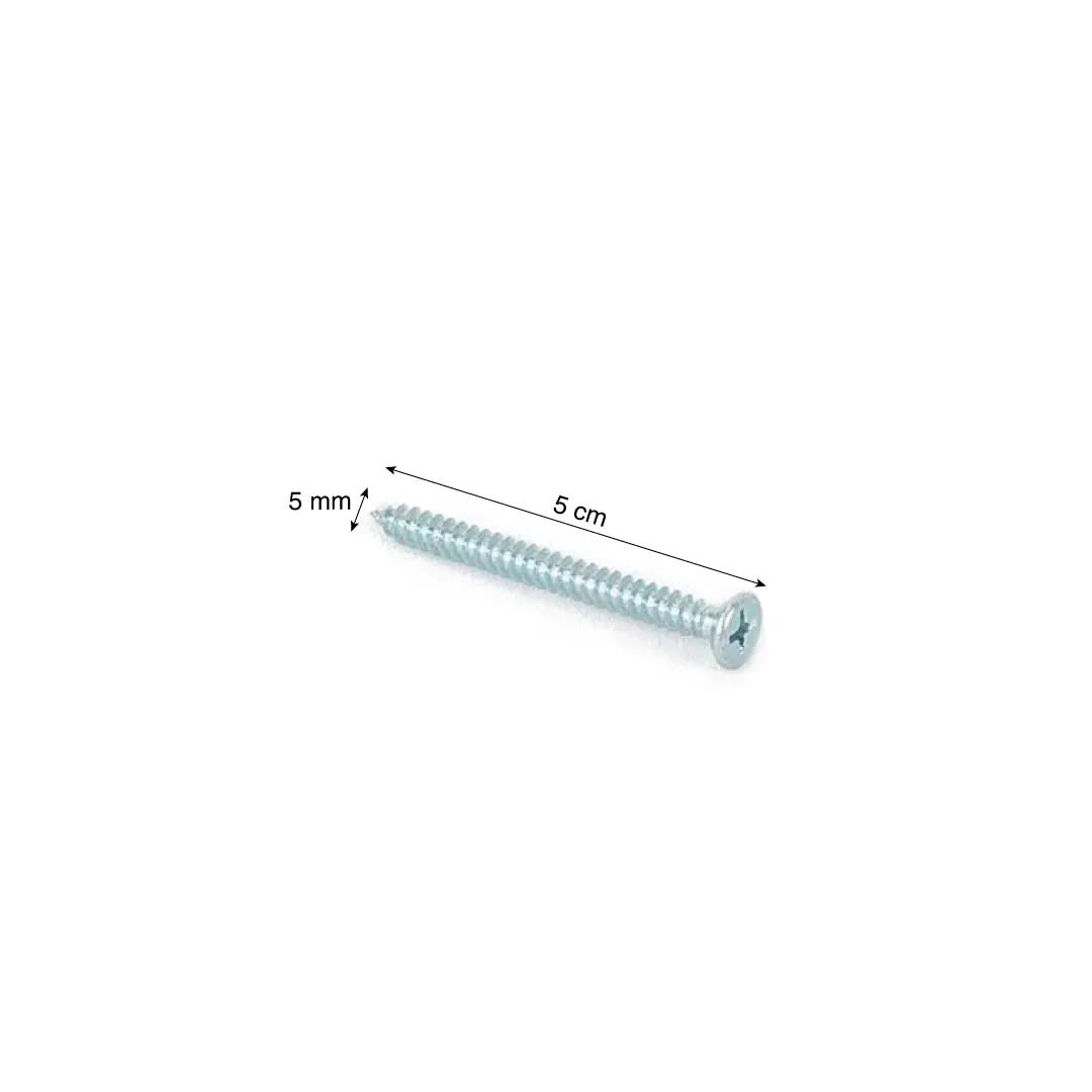 TORNILLO CABEZA PLANA 10X2'' X 10 UNIDADES SM1
