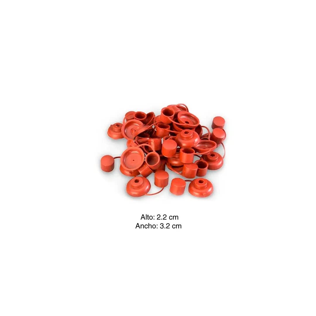 KIT AUTORROSCANTE C/PAN 10 X 2''+ CAPUCHON TEJA 48 UNIDADES SM2