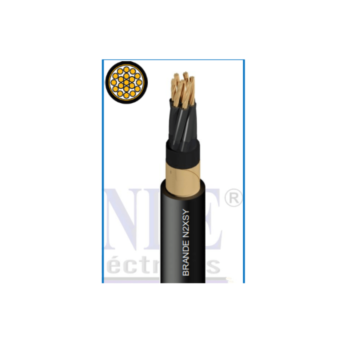 N2XSY 0,6/1KV CABLE DE CONTROL 2x4MM BRANDE