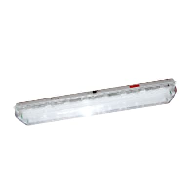 LUMINARIA LINEAL P/AMBIENTES EXPLOSIVOS FLUORESCENTES 2X36W IP66. ZONA 2.21 CZ0876/2X36W-B+D621/304 CZ ELECTRIC