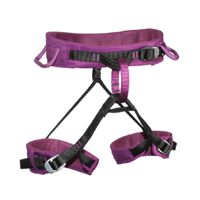 ARNES PELVICO TALLA L MORADO ESCALADA Y RAPEL CE EN 12277 VIRGO 4123241 ARMBURY