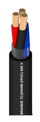 TC (XHHW-2/PVC) MULTIPOLAR 600V CABLE 3x6AWG BRANDE