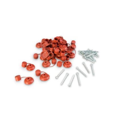 KIT AUTORROSCANTE C/PAN 10 X 2''+ CAPUCHON TEJA 48 UNIDADES SM