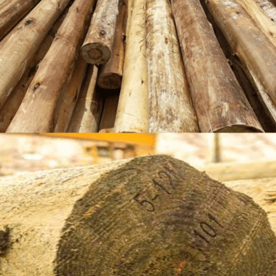 POSTE DE MADERA 14MT TRATADO VACIO-PRESION C/PRESERVANTE CCA-C EUCALIPTO