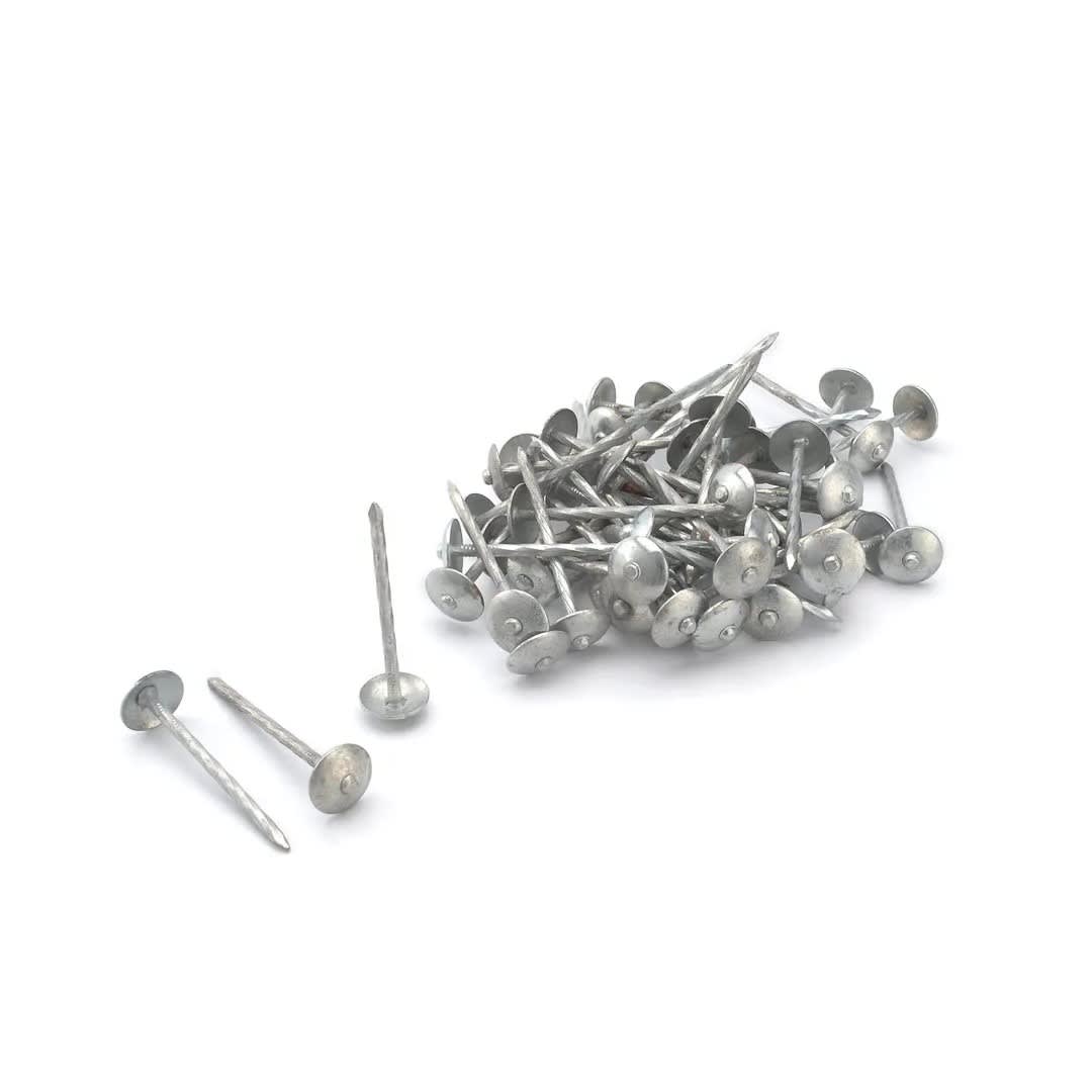 CLAVO CALAMINERO ESPIRALADO 2'' X 500 GRAMOS DISFERMET2