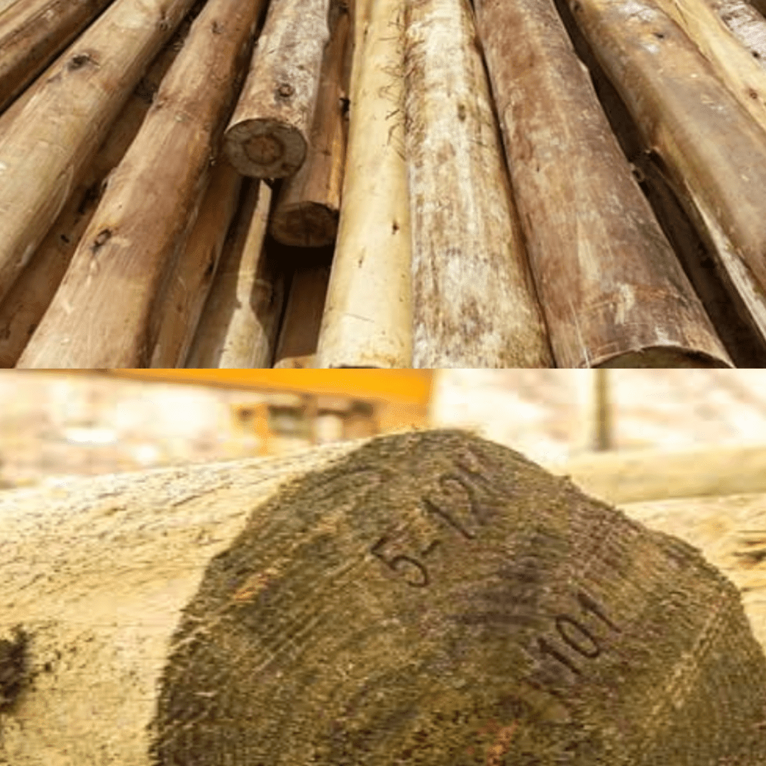 POSTE DE MADERA 15MT TRATADO VACIO-PRESION C/PRESERVANTE CCA-C CLASE 4 EUCALIPTO1