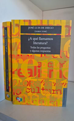 ¿A QUÉ LLAMAMOS LITERATURA?1