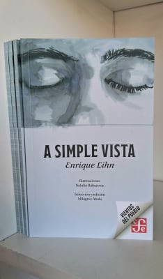 A SIMPLE VISTA. ENRIQUE LIHN