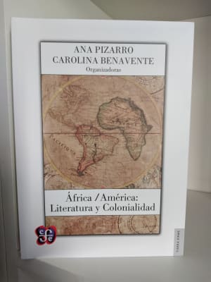 ÁFRICA / AMÉRICA: LITERATURA Y COLONIALIDAD