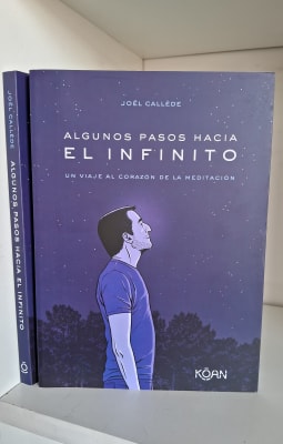ALGUNOS PASOS HACIA EL INFINITO