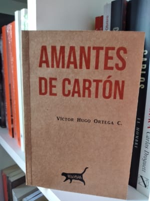 AMANTES DE CARTÓN