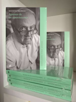 APUNTES DE UN CONSTITUYENTE1