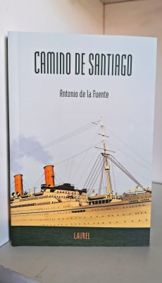 CAMINO DE SANTIAGO1