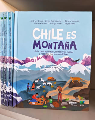 CHILE ES MONTAÑA