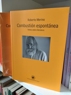 COMBUSTIÓN ESPONTÁNEA
