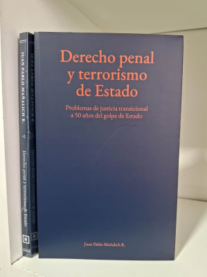 DERECHO PENAL Y TERRORISMO DE ESTADO