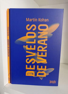 DESVELOS DE VERANO