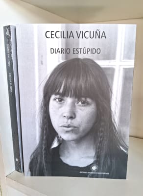 DIARIO ESTÚPIDO. CECILIA VICUÑA