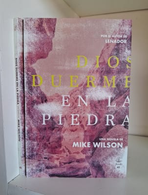 DIOS DUERME EN LA PIEDRA