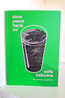 DOCE PASOS HACIA MÍ