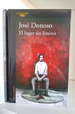 EL LUGAR SIN LÍMITES. ED.ALFAGUARA