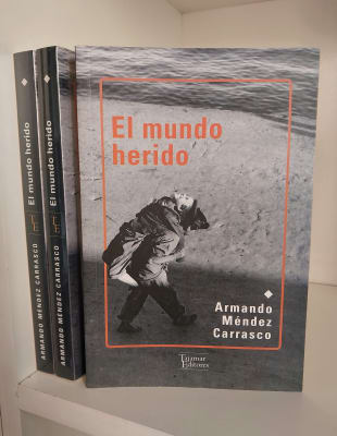 EL MUNDO HERIDO