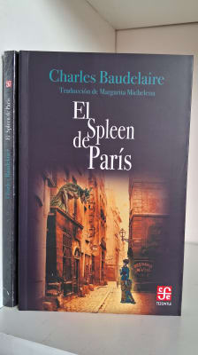 EL SPLEEN DE PARÍS