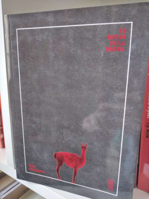 EL MUSEO DE LA BRUMA1