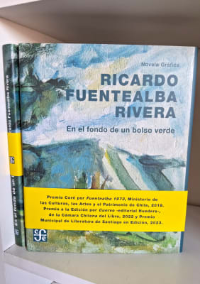 EN EL FONDO DE UN BOLSO VERDE