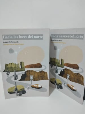 HACIA LAS LUCES DEL NORTE