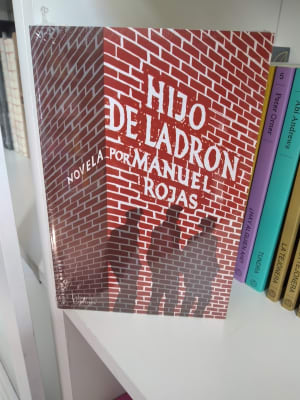 HIJO DE LADRÓN