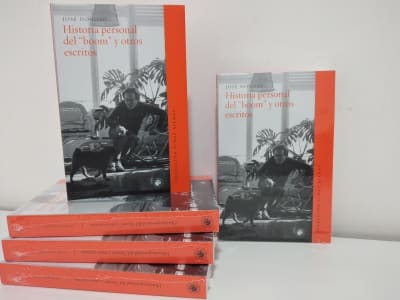 HISTORIA PERSONAL DEL 