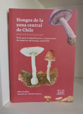 HONGOS DE LA ZONA CENTRAL DE CHILE
