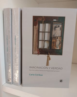 IMAGINACIÓN Y VERDAD. ESCRITOS SOBRE LITERATURA HISPANOAMERICANA