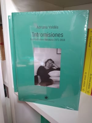 INTROMISIONES. ESCRITOS SOBRE LITERATURA 1971-20181