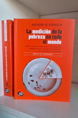LA MEDICIÓN DE LA POBREZA EN TODO EL MUNDO