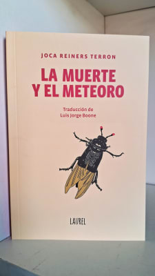 LA MUERTE Y EL METEORO