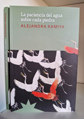 LA PACIENCIA DEL AGUA SOBRE CADA PIEDRA1