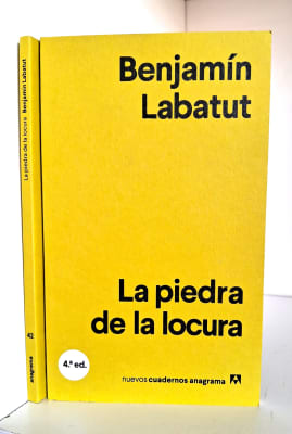 LA PIEDRA DE LA LOCURA