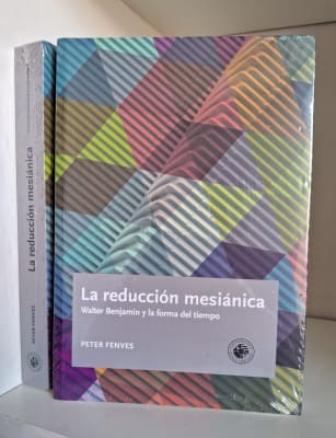 LA REDUCCIÓN MESIÁNICA