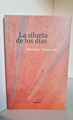 LA SILUETA DE LOS DÍAS