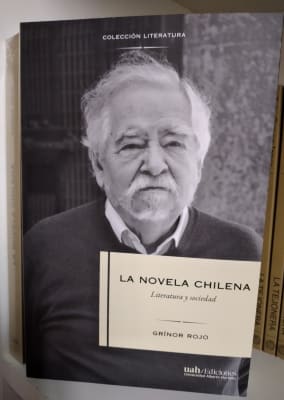 LA NOVELA CHILENA. LITERATURA Y SOCIEDAD