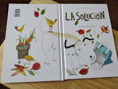 LA SOLUCIÓN
