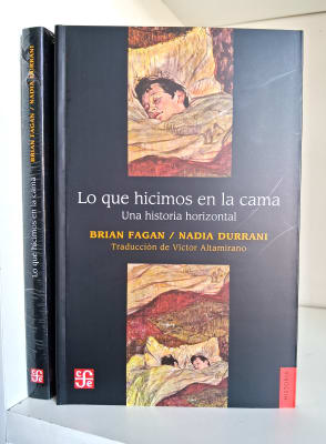LO QUE HICIMOS EN LA CAMA. UNA HISTORIA HORIZONTAL
